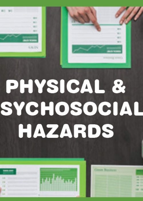 Physical and psychosocial hazards